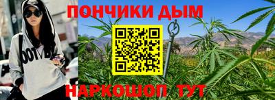 мдпв Дубна