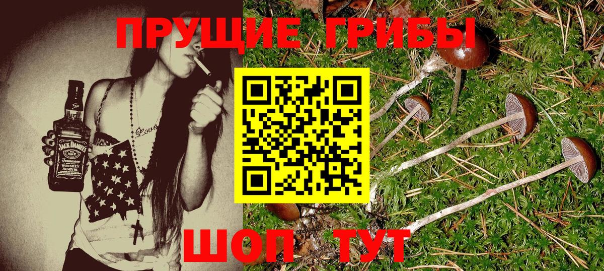Галлюциногенные грибы Magic Shrooms Муравленко