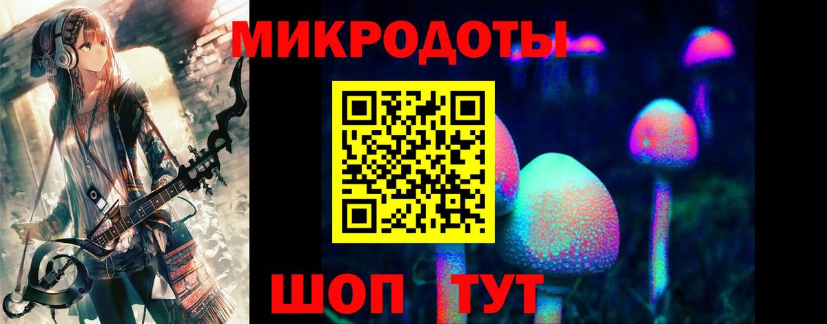 Псилоцибиновые грибы Cubensis  Вход с VPN  Муравленко 